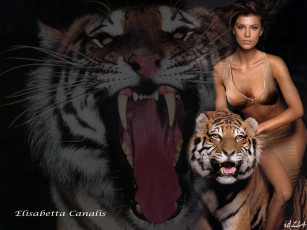 Картинка Elisabetta+Canalis кошечки девушки
