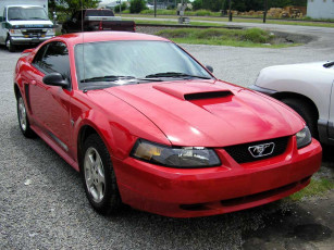 Картинка ford mustang автомобили