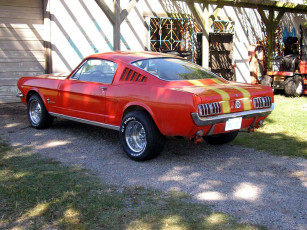 Картинка ford mustang автомобили