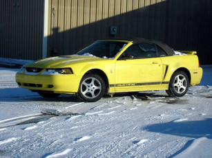 Картинка ford mustang автомобили