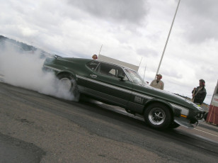 Картинка ford mustang mach автомобили