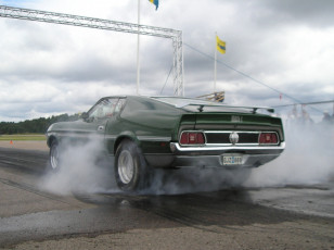 Картинка ford mustang mach автомобили