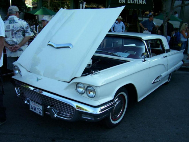 Обои картинки фото ford, автомобили