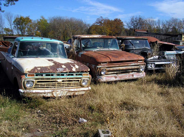 Обои картинки фото ford, автомобили