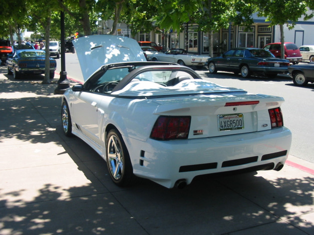 Обои картинки фото ford, mustang, автомобили