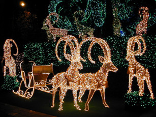 Картинка праздничные