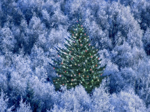 Картинка праздничные Ёлки