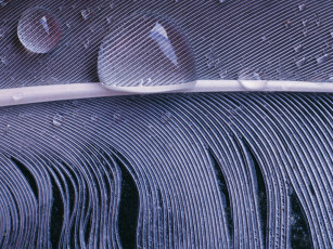 Картинка разное