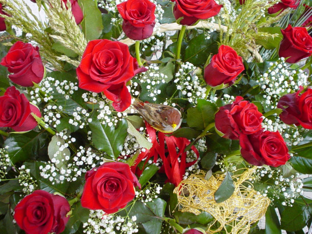 Обои картинки фото цветы, букеты, композиции