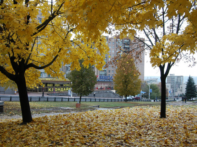 Обои картинки фото города