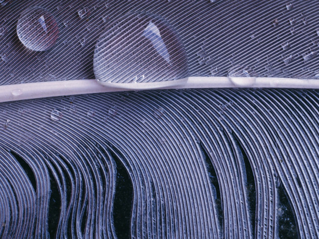 Обои картинки фото разное