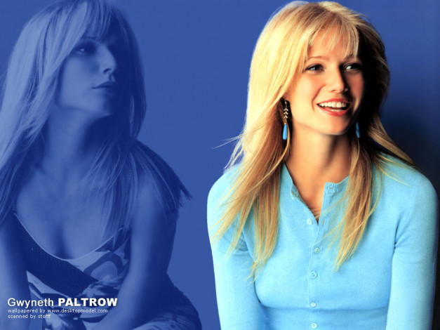 Обои картинки фото Gwyneth Paltrow, девушки