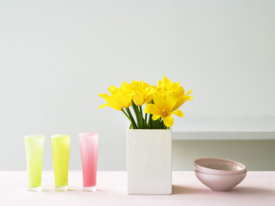 Картинка цветы тюльпаны