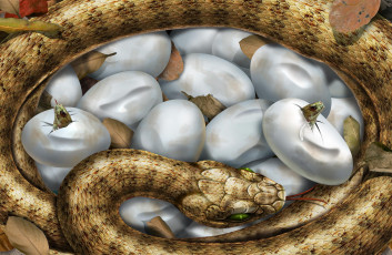 Картинка рисованные животные змеи