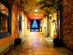 Картинка праздничные новогодние пейзажи