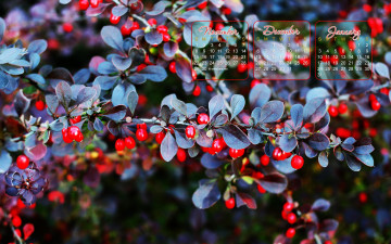 Картинка календари природа