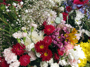 Картинка цветы разные+вместе розы гвоздика астры гипсофила альстромерия