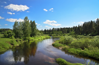 Картинка природа реки озера вода зелень