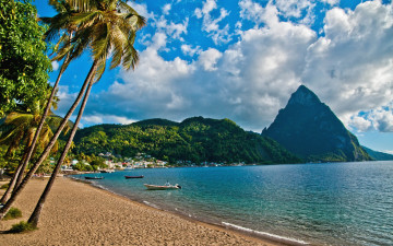 Картинка природа тропики море пляж пальмы