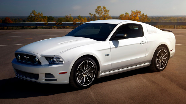 Обои картинки фото ford mustang, автомобили, mustang, ford, motor, company, культовый, автомобиль, сша