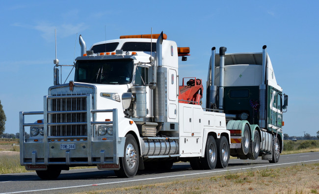 Обои картинки фото kenworth, автомобили, сша, автобусы, truck, company, грузовые