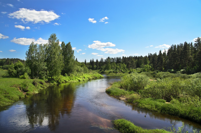 Обои картинки фото природа, реки, озера, вода, зелень
