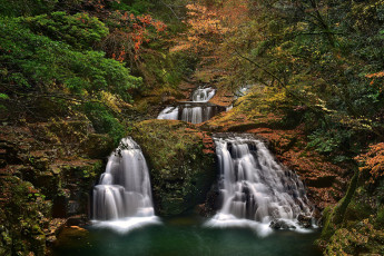 Картинка природа водопады водопад река лес