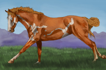 Картинка рисованное животные +лошади лошадь
