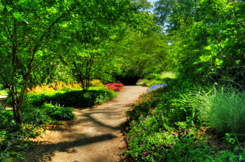 Картинка природа дороги тропинка парк