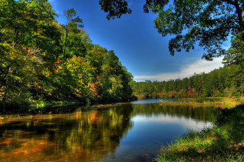 Картинка природа реки озера река лес
