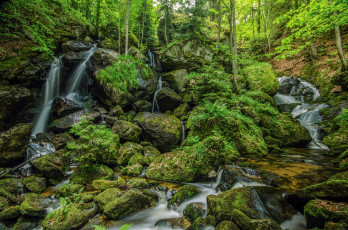 Картинка природа реки озера пороги речка лес