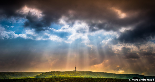 Обои картинки фото природа, восходы, закаты, небо, тучи, поле, облака, красота, лучи