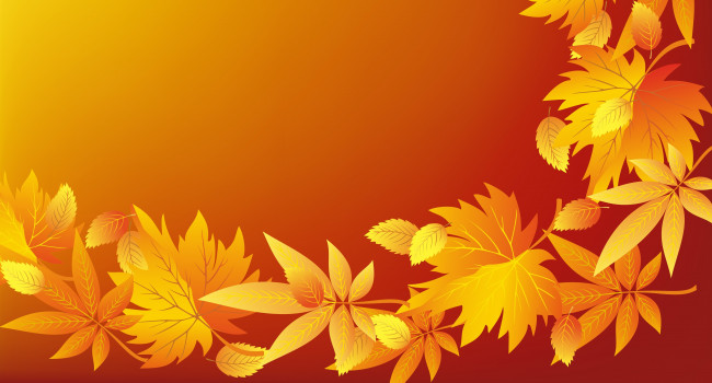 Обои картинки фото векторная графика, природа, осень, листики, текстура