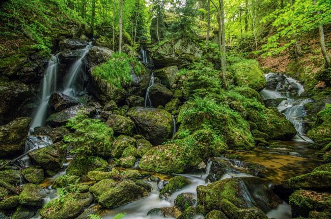 Обои картинки фото природа, реки, озера, пороги, речка, лес