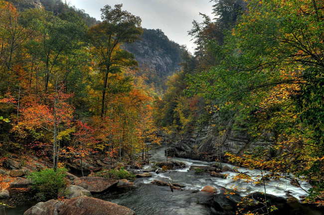 Обои картинки фото природа, реки, озера, река, лес, горы