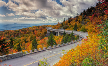 Картинка природа дороги осень шоссе лес