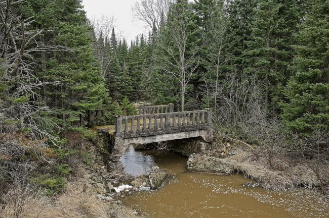 Обои картинки фото природа, реки, озера, лес, река