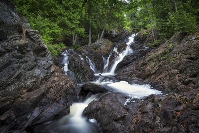 Обои картинки фото природа, реки, озера, река, лес