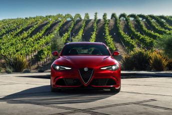 обоя автомобили, alfa romeo, виноградник, поле, красный, альфа-ромео, giulia, alfa-romeo