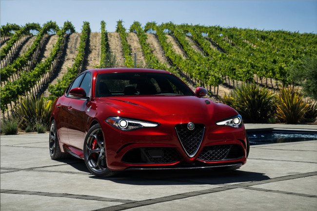 Обои картинки фото автомобили, alfa romeo, виноградник, красный, giulia, alfa-romeo