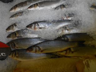 Картинка рыбка еда рыба +морепродукты +суши +роллы