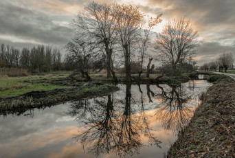 Картинка природа реки озера простор