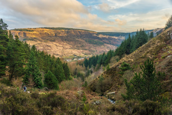 Картинка природа пейзажи простор