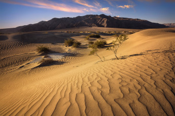 Картинка природа пустыни простор