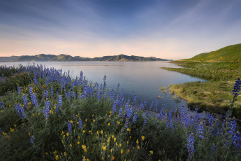 Картинка природа реки озера простор