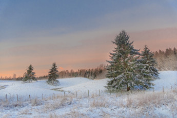 Картинка природа зима простор