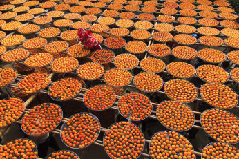 Картинка еда хурма круги фрукты