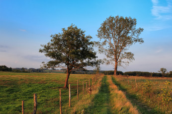 Картинка природа дороги простор