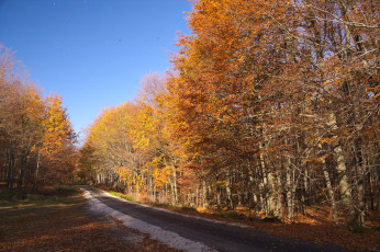 Картинка природа дороги простор