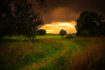 Картинка природа дороги простор